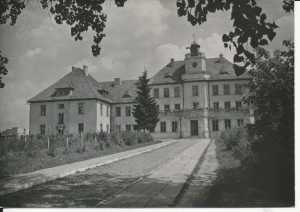 Ostrów Mazowiecka szkoła ogólnokształcąca - 053890
