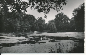 Siedlce park miejski - 053909