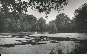 Siedlce park miejski - 053910