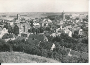 Golub Dobrzyń panorama miasta - 054005