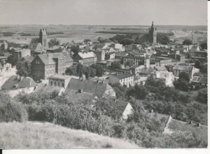 Golub Dobrzyń panorama miasta - 054014