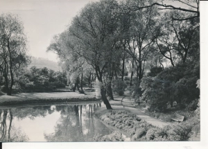 Chorzów Wojewódzki Park Kultury - 054052