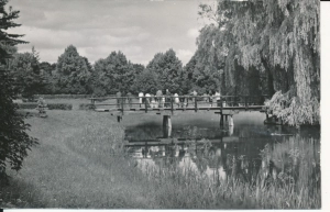 Zamość park miejski - 054069