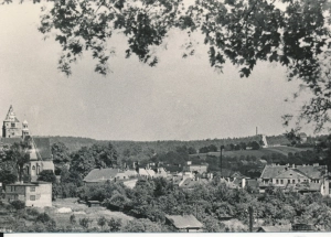 Wodzisław widok ogólny - 054083