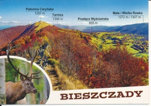 Bieszczady panorama - 054268
