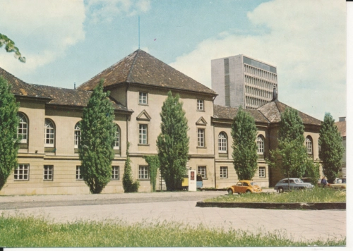 IMG_0251.jpg