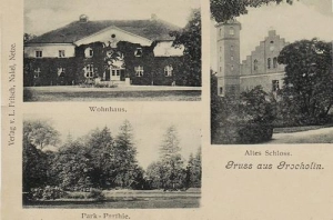 Grocholin widokowa - Reprodukcja 42395