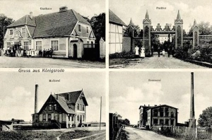 Królikowo widokowa - Reprodukcja 42404
