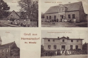 Radzicz widokowa - Reprodukcja 42409