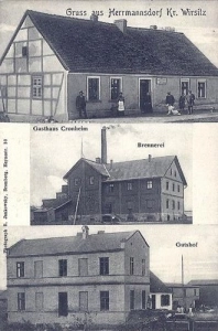 Radzicz widokowa - Reprodukcja 42410