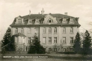 Suchary nowicjat - Reprodukcja 42418