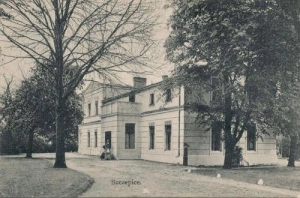 Szczepice - Reprodukcja 42419