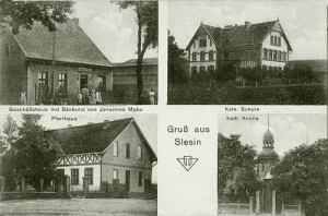 Ślesin widokowa - Reprodukcja 42421