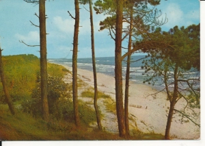 Bałtyk morze plaża - 054513