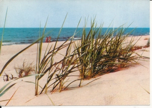 Bałtyk morze plaża - 054514