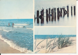 Bałtyk morze plaża - 054515