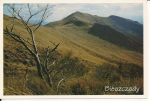 Bieszczady Rozsypaniec - 054567