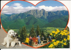 Tatry widok z Gubałówki - 054733