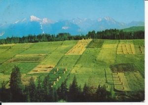 Tatry widok z Bukowiny - 054737