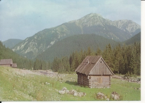 Tatry Polana Chochołowska - 054744