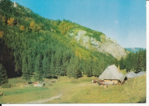 Tatry Polana Strążyska - 054747