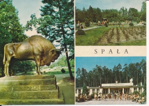 Spała widoki widokowa - 054794