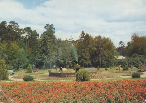 Spała fragment parku - 054799