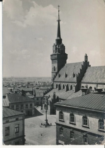 Tarnów Katedra - 054824
