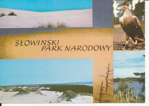 Słowiński Park Narodowy - 054839