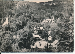 Międzygórze widok ogólny - 054874