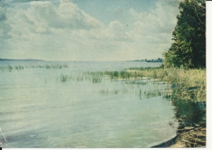 Jezioro Miedwie - 054912