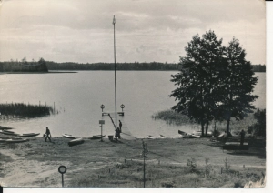 Jabłoń przystań - 054917