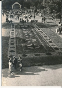 Inowrocław park zdrojowy - 054919