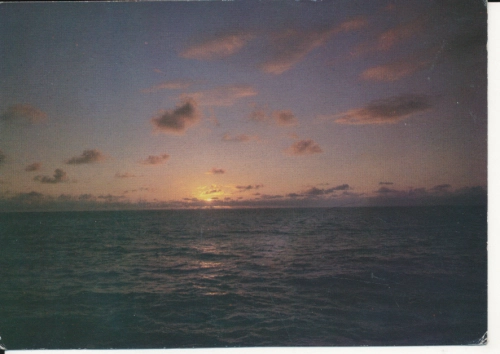 IMG_0089.jpg