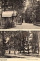 nowe-15353.jpg