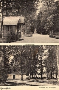Brzeg Dolny widokowa - Reprodukcja 15353