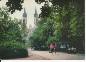 Radom park Kościuszki - 055166