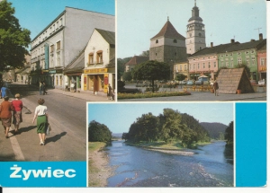 Żywiec widoki widokowa - 055167
