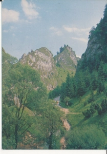 Pieniny Wąwóz Homole - 055193