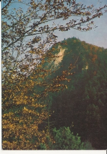 Pieniny Biała Skała - 055194