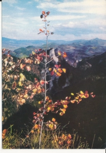 Pieniny widok z Zamkowej Góry - 055195
