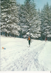 Beskid Śląski - 055209