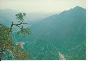 Pieniny Przełom Dunajca - 055214