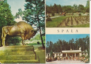 Spała widoki widokowa - 055243