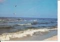 IMG_0015.jpg