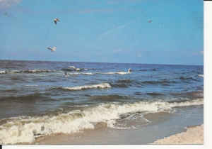 Bałtyk morze plaża - 055258