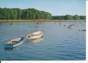 Skorzęcin ośrodek wypoczynkowy - 055303
