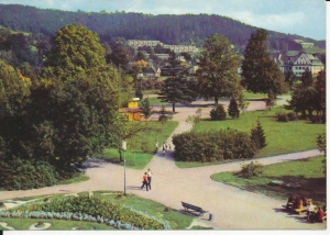 Wisła park - 055350