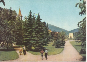 Wisła park - 055352
