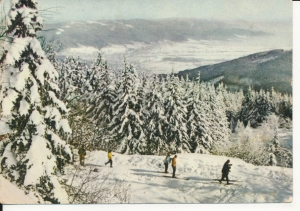 Beskid Śląski Szyndzielnia - 055390